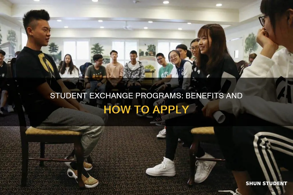 what is international student exchange program
