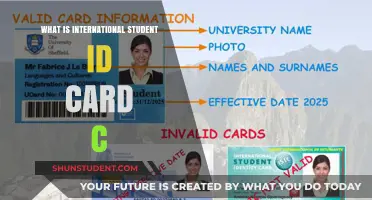 Explore the Benefits of an International Student ID Card