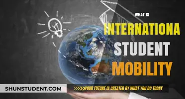 Exploring International Student Mobility: A Global Education Trend