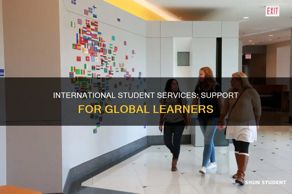 what is international student services