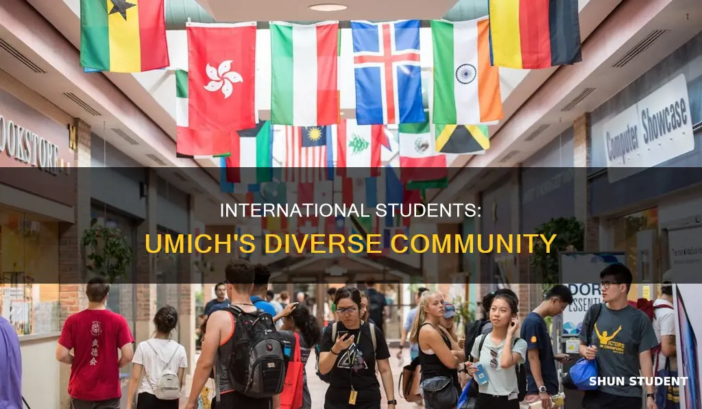 what is international students for u michigan