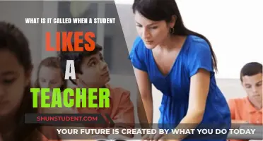 Student Crushes on Teachers: Understanding the Phenomenon and Its Implications