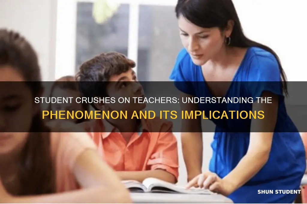 what is it called when a student likes a teacher