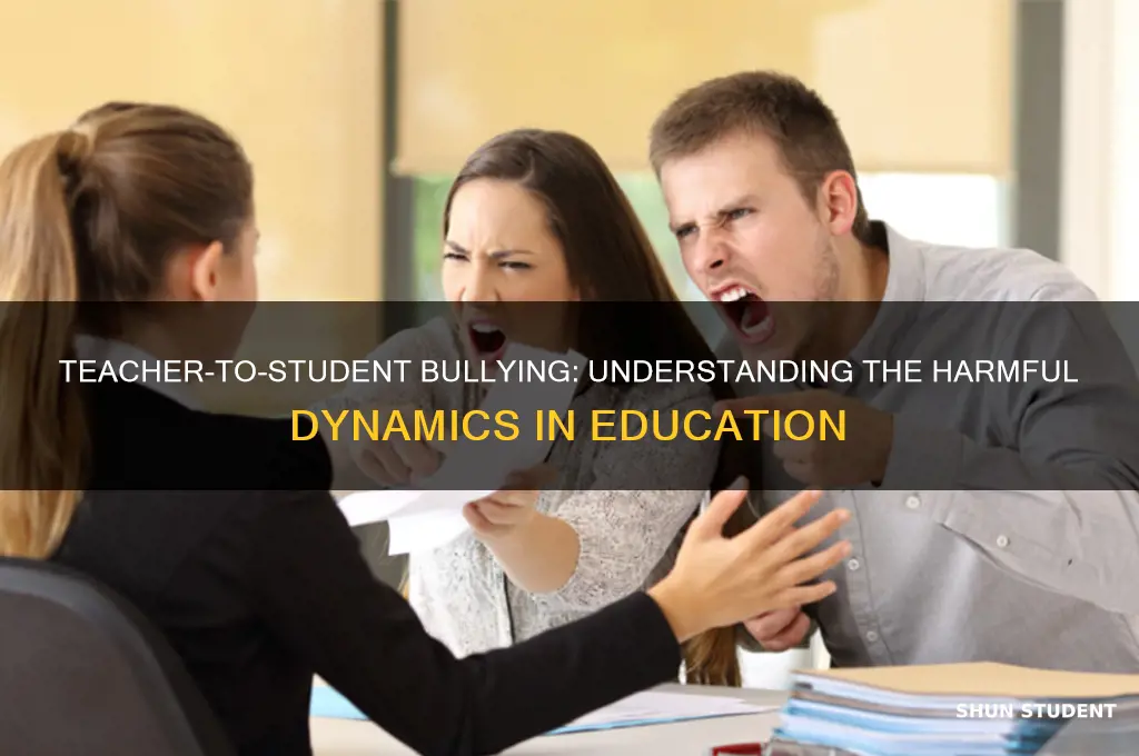 what is it called when a teacher bullies a student