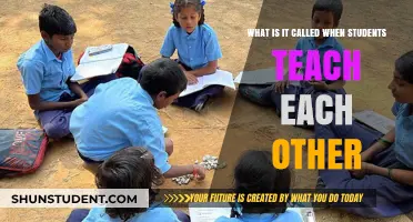 Peer Learning: Empowering Students to Teach and Learn Together