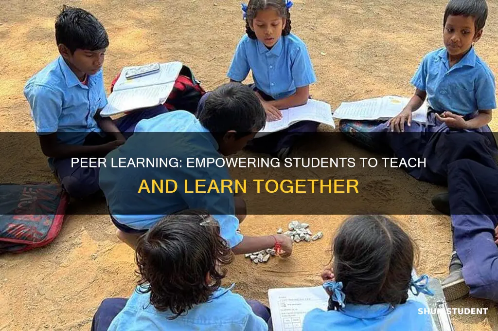 what is it called when students teach each other