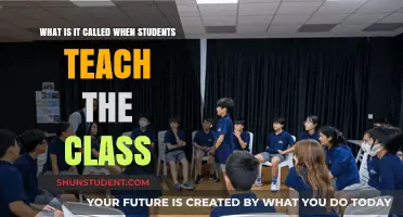 Peer-Led Learning: Exploring the Power of Students Teaching Classes