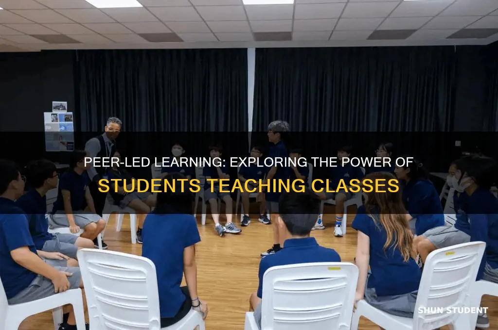 what is it called when students teach the class