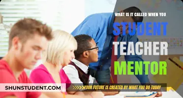 Student Teacher Mentor: Unlocking the Power of Educational Guidance
