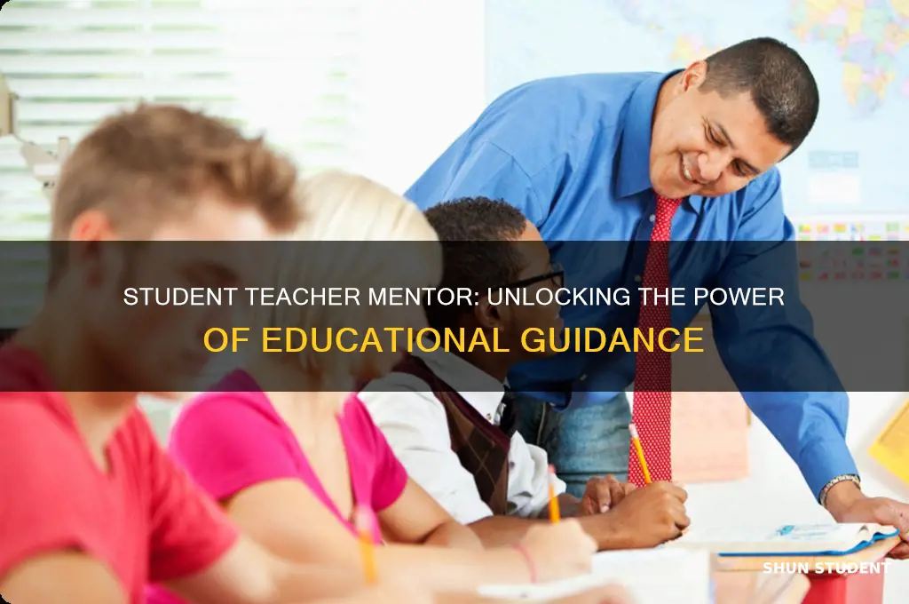what is it called when you student teacher mentor