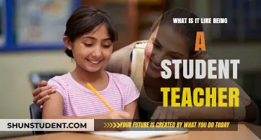 Student Teaching Journey: Challenges, Growth, and Classroom Revelations