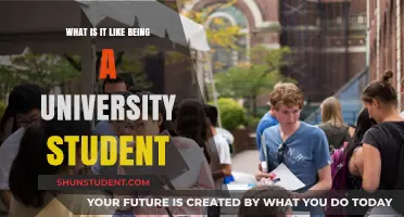 University Life: A Student's Perspective
