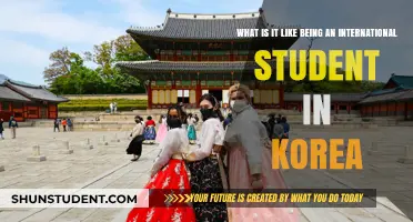 Life as an International Student in Korea