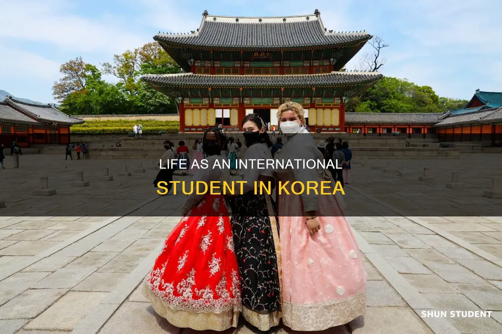 what is it like being an international student in korea