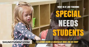 Teaching Special Needs Students: Challenges, Rewards, and Transformative Experiences