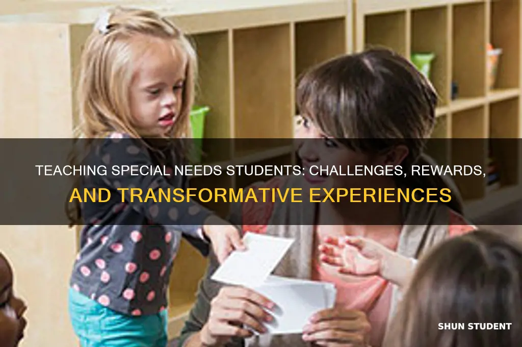 what is it like teaching special needs students