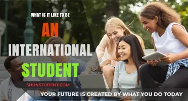 An International Student's Life: Challenges and Opportunities