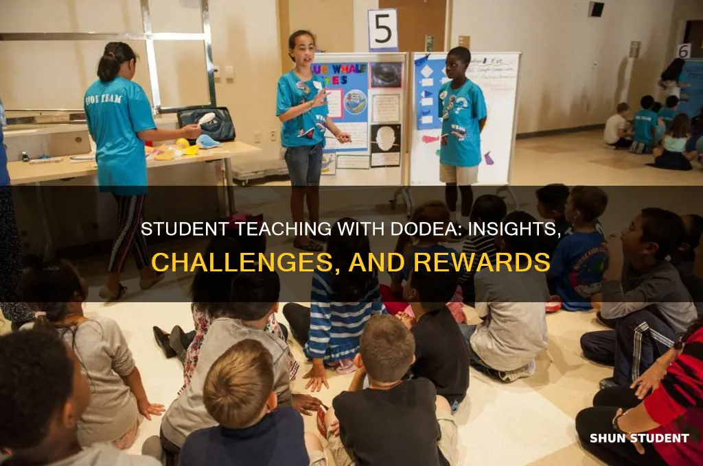 what is it like to student teach for the dodea