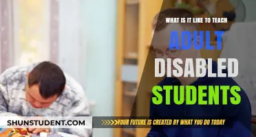 Empowering Adult Disabled Learners: Insights from the Classroom