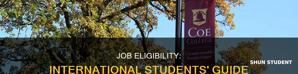 what is job eligibility for international students