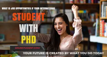 Job Prospects for International PhD Students