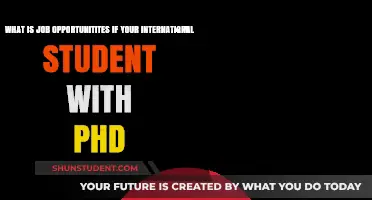 Job Prospects for International PhD Students