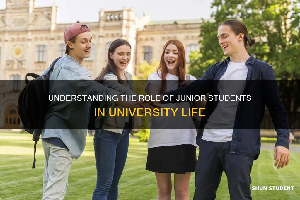 what is junior student in university