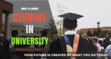 University Juniors: Understanding the Student Journey