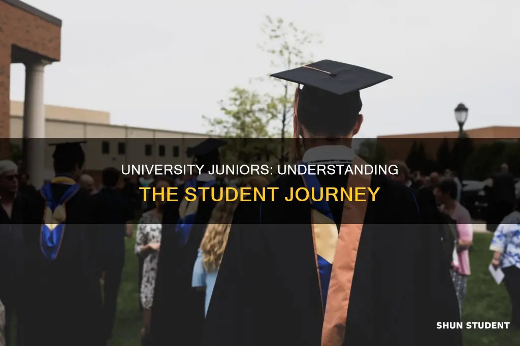 what is junior student in university