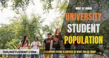 Lamar University: Unveiling Diversity and Student Life