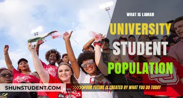 Lamar University Student Population: How Many?