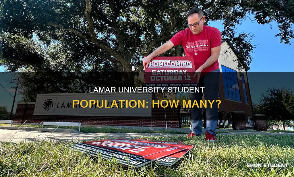 what is lamar university student population