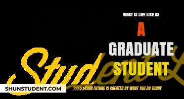 Exploring the Graduate Student Journey: Challenges and Triumphs