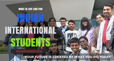 Indian Students Abroad: An Exploration of Their Lives