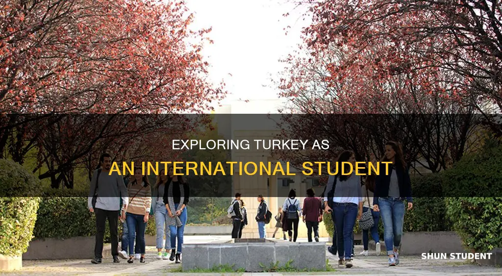 what is life like in turkey for international students