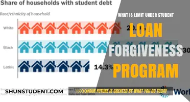 Understanding the Income Limit for Student Loan Forgiveness Programs
