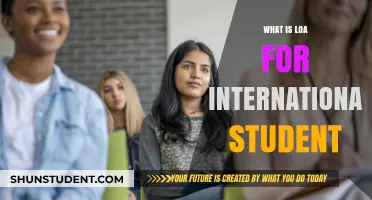 Understanding the Law of Attraction for International Students