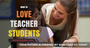Understanding Love: A Teacher's Role in Shaping Student Connections