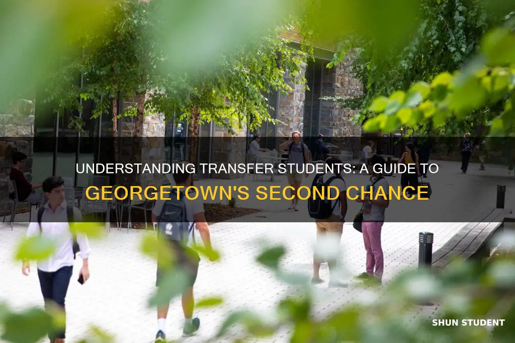 what is meant by transfer students at georgetown university