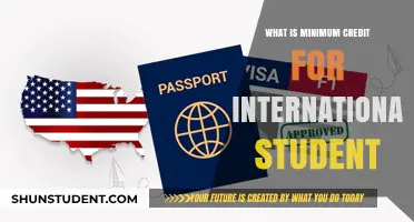 Credit Scores: International Student's Visa Hurdle