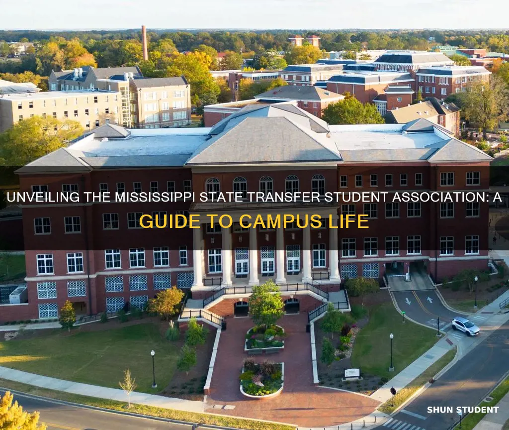 what is mississippi state university transfer student association