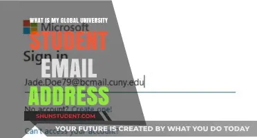 Accessing Your Global University Email Address