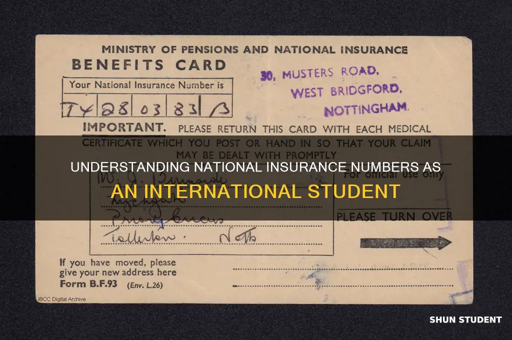what is my national insurance number international student