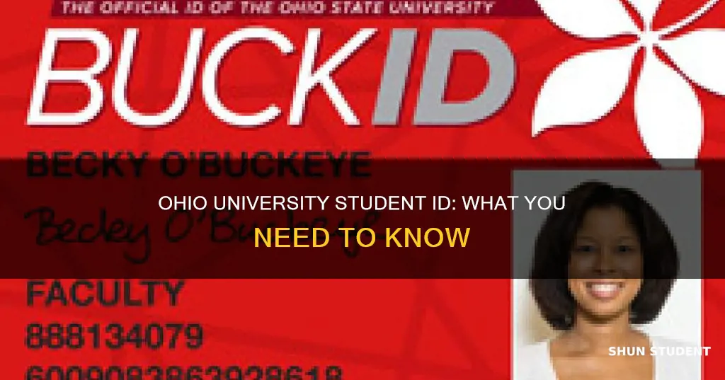 what is my ohio university student id
