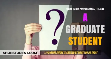 Exploring Professional Identities: A Graduate Student's Journey