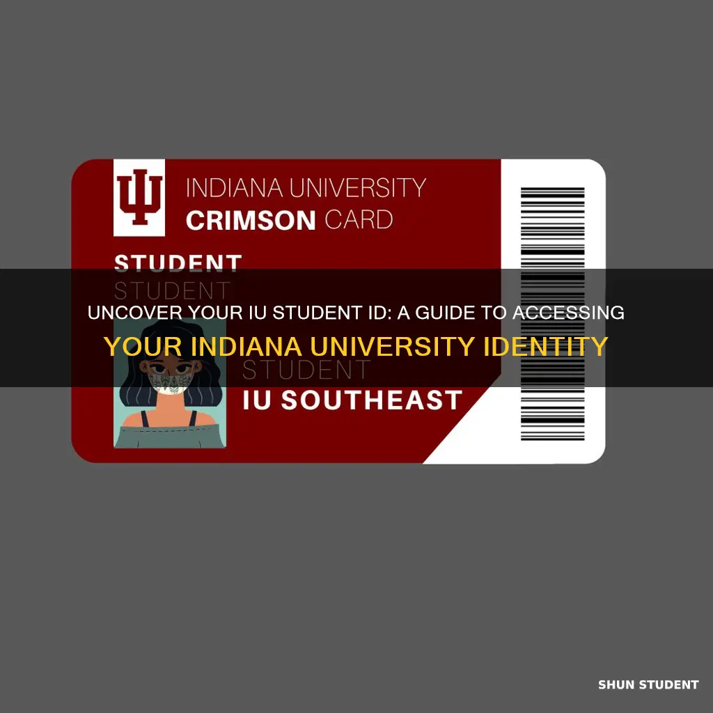 what is my student id indiana university