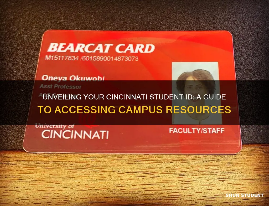 what is my student id university of cincinatti