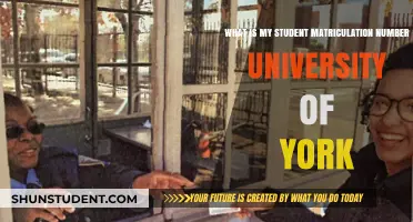 York University Student Matriculation Numbers: What's Mine?