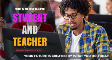 PhD Student and Teacher: Navigating Dual Roles in Academia