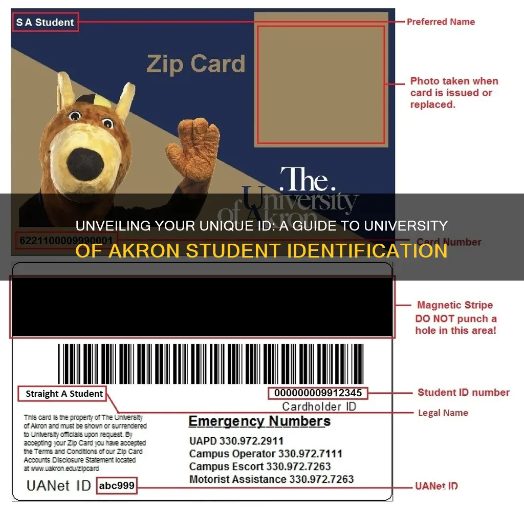 what is my university of akron student id